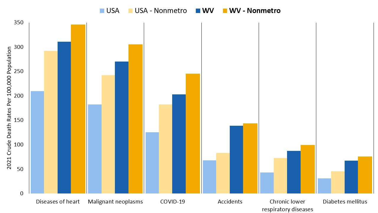 The image depicts crude death rates of across metro and nonmetro USA, and for metro and nonmetro West Virginia.  